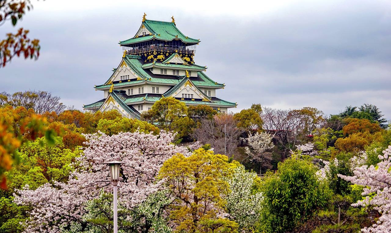 安阳追寻梦想的起点：为何选择高考后去日本留学？